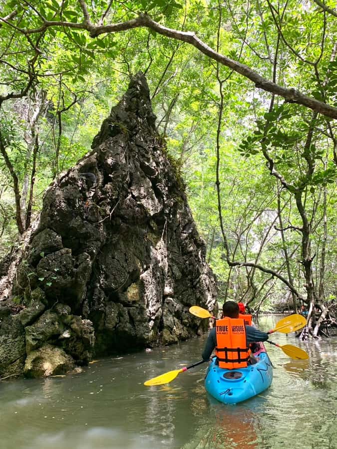 Krabi: ATV Jungle Bash & Kayak Odyssey in Din Daeng Mangrove - A half-hour at Monkey Beach