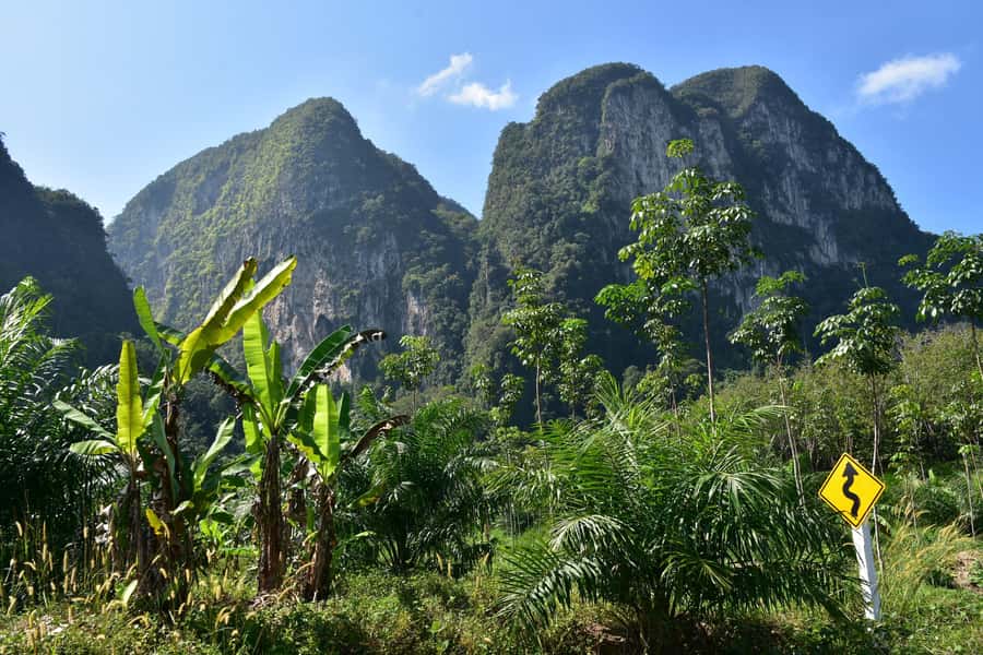 Krabi: ATV Jungle Bash & Kayak Odyssey in Din Daeng Mangrove - Mangrove Forest and the Five Islands route