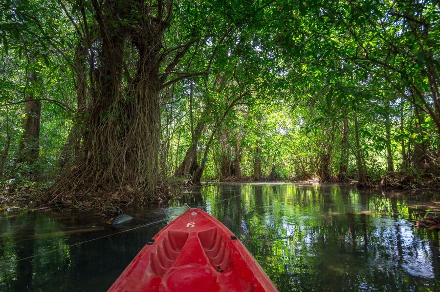 Krabi: Crystal Lagoon Kayaking and Horseback Riding Day Trip - Why this Krabi day trip works