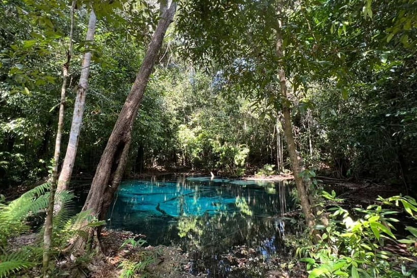 Krabi: Emerald Pool, Hot Springs, and Kayaking Tour - A simple Thai buffet between the water stops
