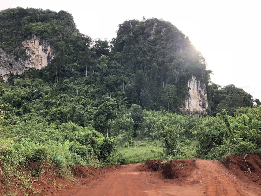 Krabi: Half-Day Blue Lagoon Kayaking at Klong Srakaew & ATV - Thai lunch, fruit, and the value of the price