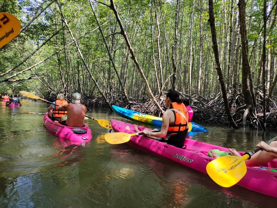 Krabi: Half-Day Kayak Adventure at Ao Thalane - Why Ao Thalane is worth your half-day