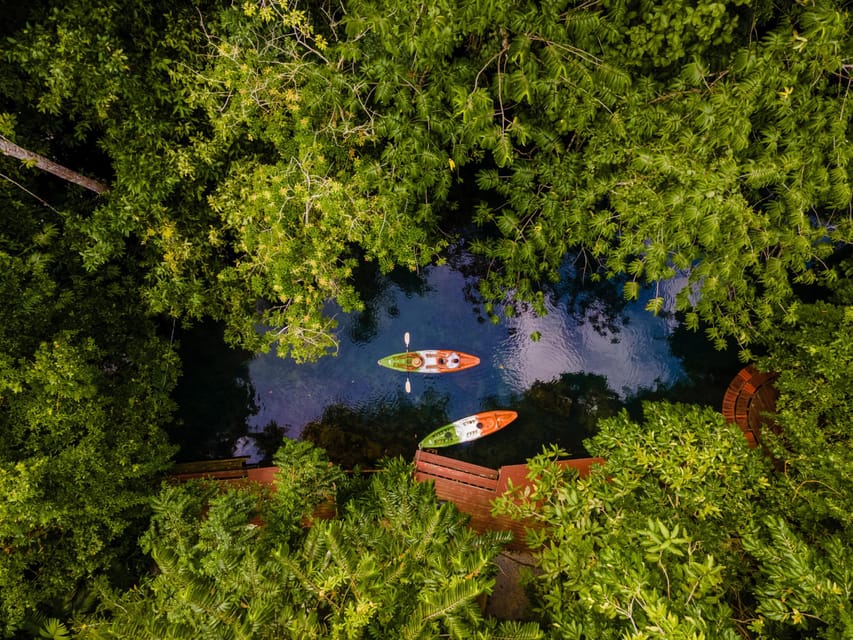 Krabi: Kayak Adventure through Ao Thalane Mangrove Forest - Canyons, caves, and Crocodile Cave