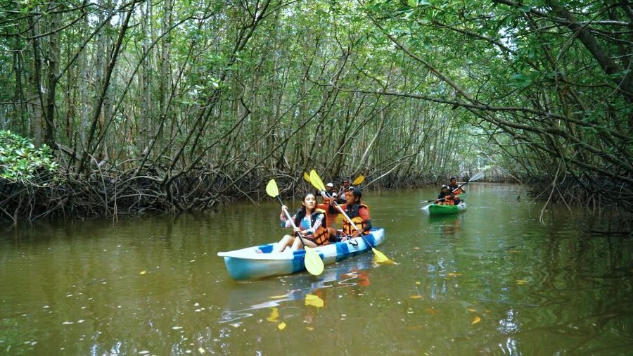 Krabi: Kayak in Mangrove Forest with Meal Aonang - Paddling through the mangrove channels
