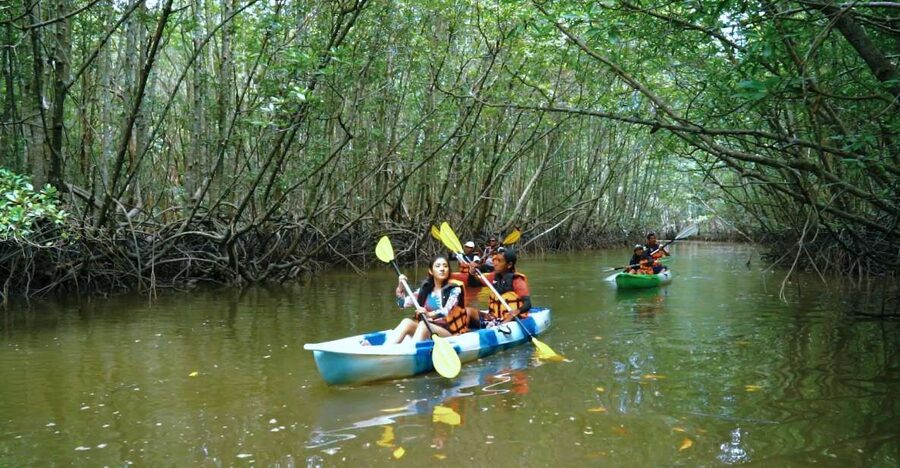 Krabi: Kayak in Mangrove Forest with Meal Aonang - What to bring for a comfortable paddle