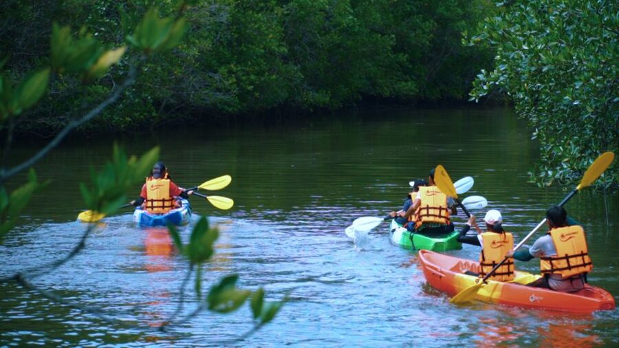 Krabi: Kayak in Mangrove Forest with Meal Aonang - Getting settled in the kayak