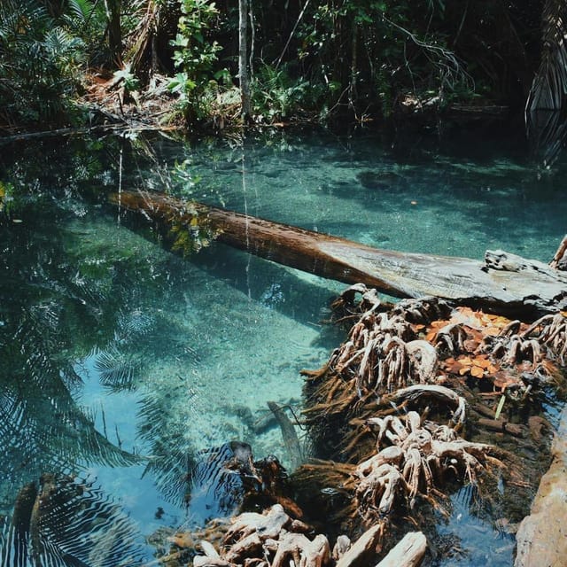 Krabi kayaking and swimming clongrood Tour - Key points before you book
