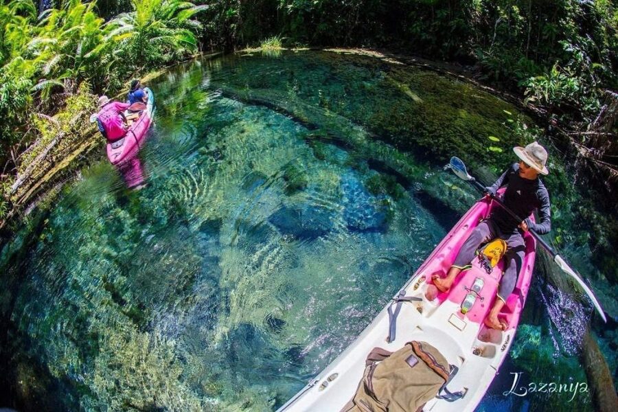 Krabi kayaking and swimming clongrood Tour - Paddling through clear freshwater and mangrove trees