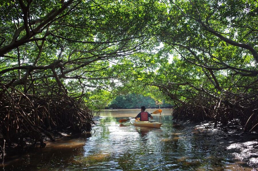 Krabi kayaking Ao thalane - Key points to know before you book