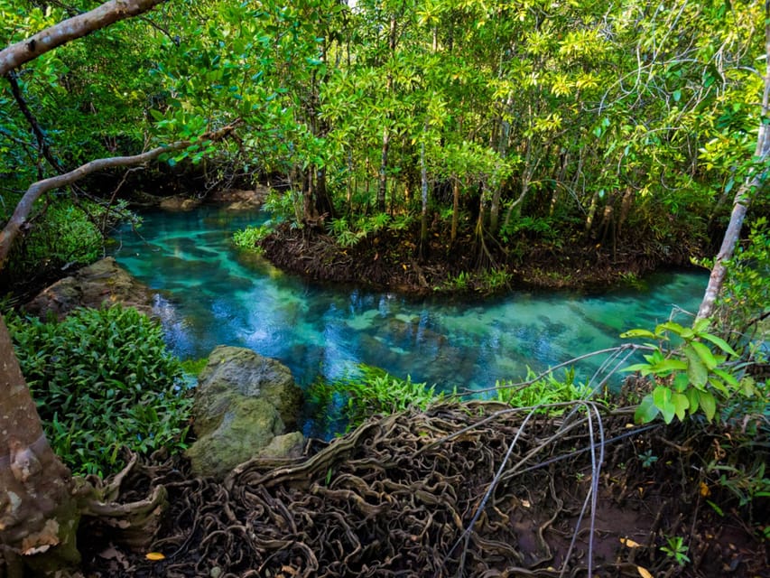 Krabi: Kayaking, Crystal Lagoon, and Fish Spa in Klong Root - Fish feeding and the small fish spa