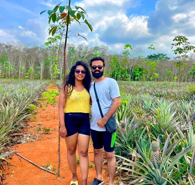 Krabi: Kayaking, Crystal Lagoon, and Fish Spa in Klong Root - What to expect from the pineapple farm