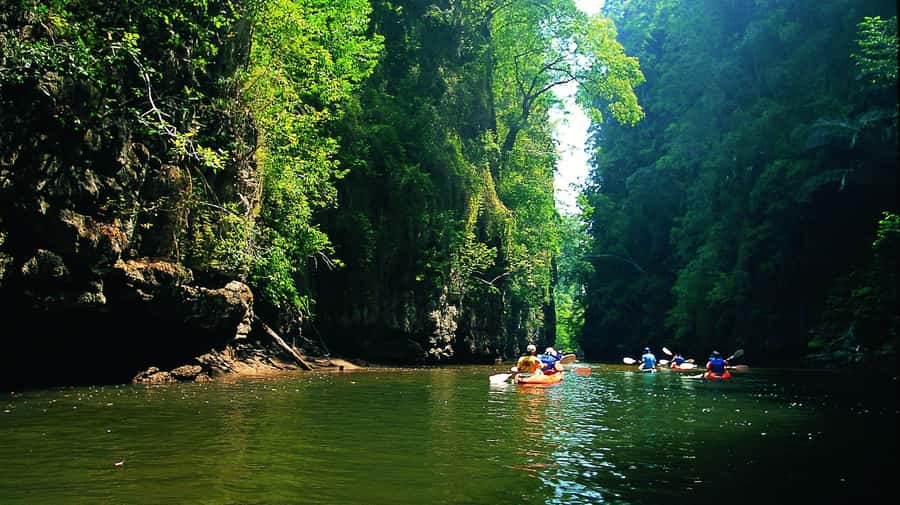 Krabi: Kayaking in Ao Thalane Bay Beautiful Mangrove Forest - Key points to know before booking