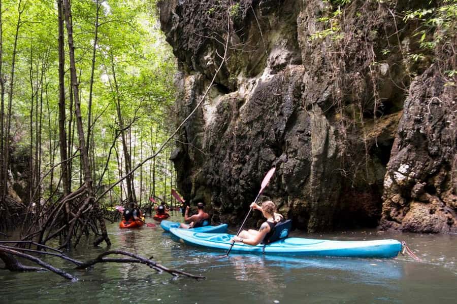 Krabi: Kayaking in Ao Thalane Bay Beautiful Mangrove Forest - Canyons, lagoons, and the Crocodile Cave stop
