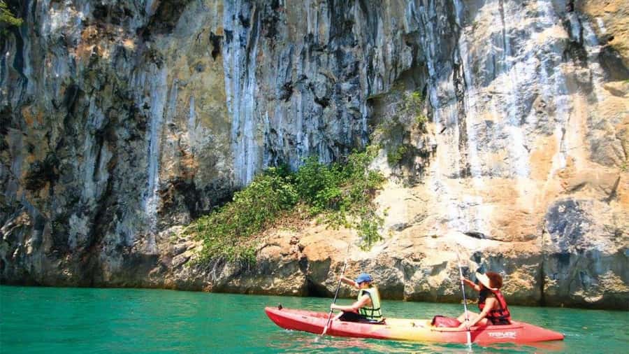 Krabi: Kayaking in Ao Thalane Bay Beautiful Mangrove Forest - Wildlife along the water