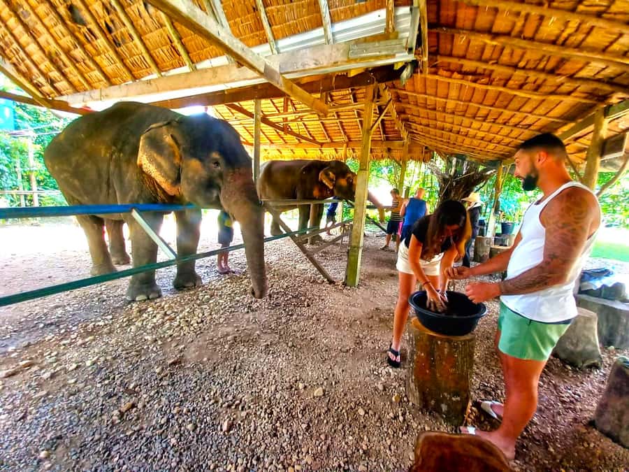 Krabi: Khao Sok Elephant Rescue Center & Bamboo Raft Paddle - Five Things to Know Before You Go