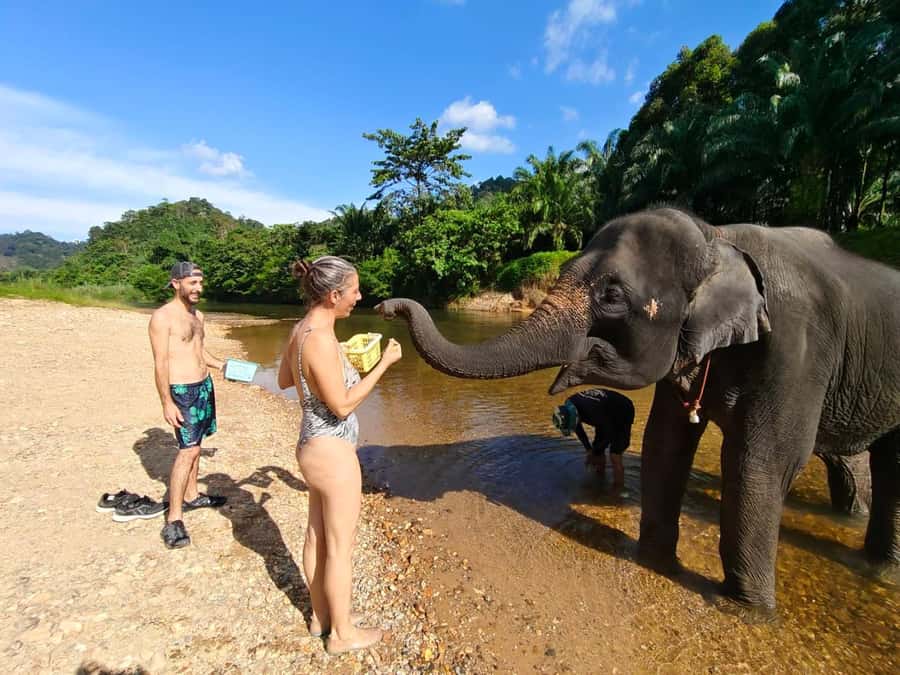 Krabi: Khao Sok Elephant Rescue Center & Bamboo Raft Paddle - Who Will Enjoy This Khao Sok Day Trip?