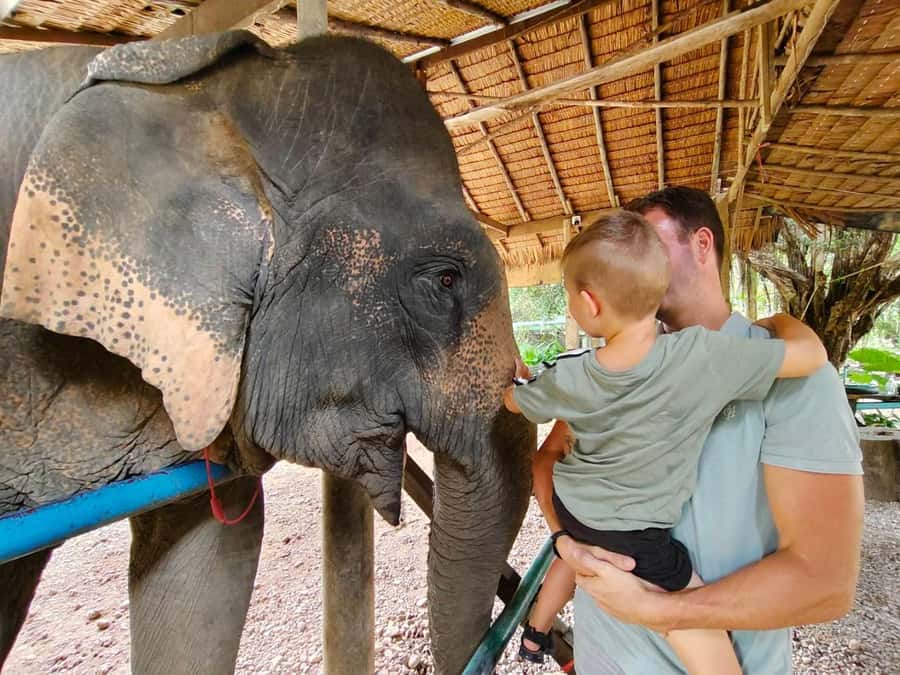 Krabi: Khao Sok Elephant Rescue Center & Bamboo Raft Paddle - Transport, Group Size, and the Real Value