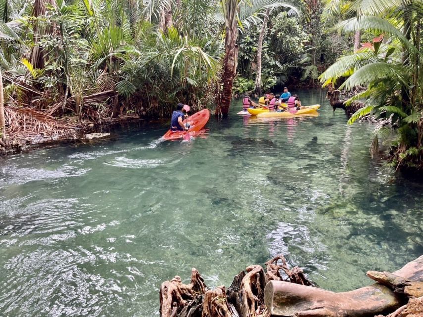 Krabi: Khlong Nam Sai Lagoon with Kayaking & Optional ATV - Kayaking 2 kilometers through rainforest and mangroves