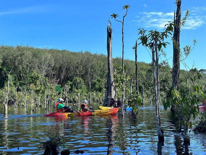 Krabi: Klong Root (Crystal lake) Kayaking tour - What makes this Klong Root trip worth your time