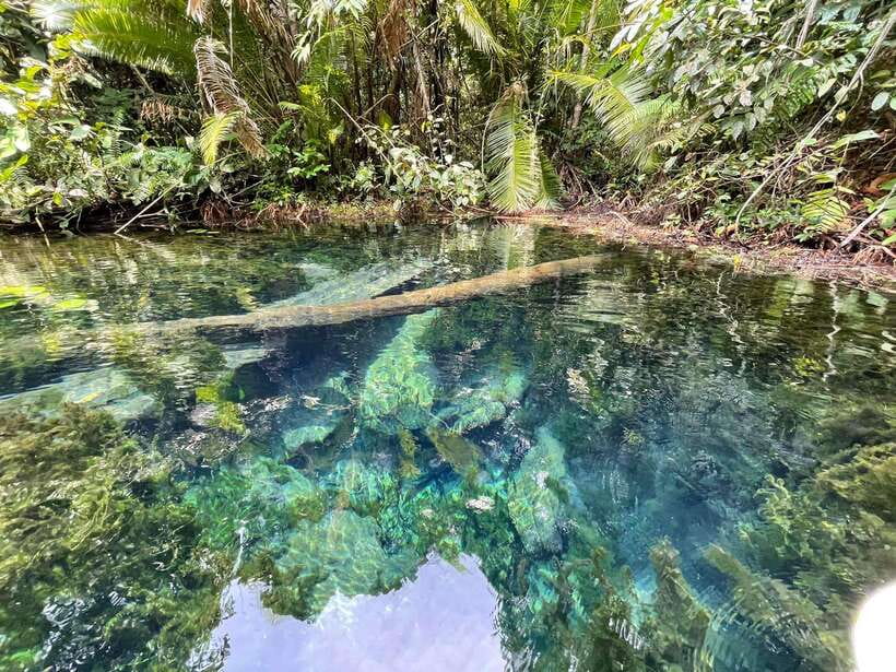 Krabi: Klong Root (Crystal lake) Kayaking tour - Paddling through the clear canal