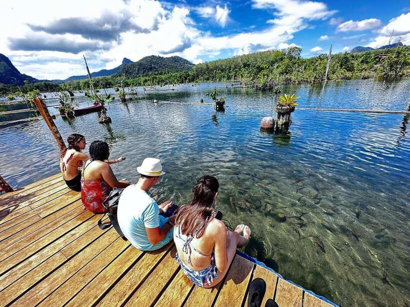 Krabi: Klong Root (Crystal lake) Kayaking tour - What to bring and what to expect