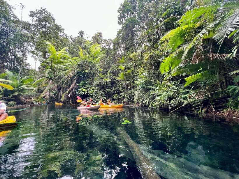 Krabi: Klong Root (Crystal lake) Kayaking tour - Hotel pick-up makes this a simple half-day