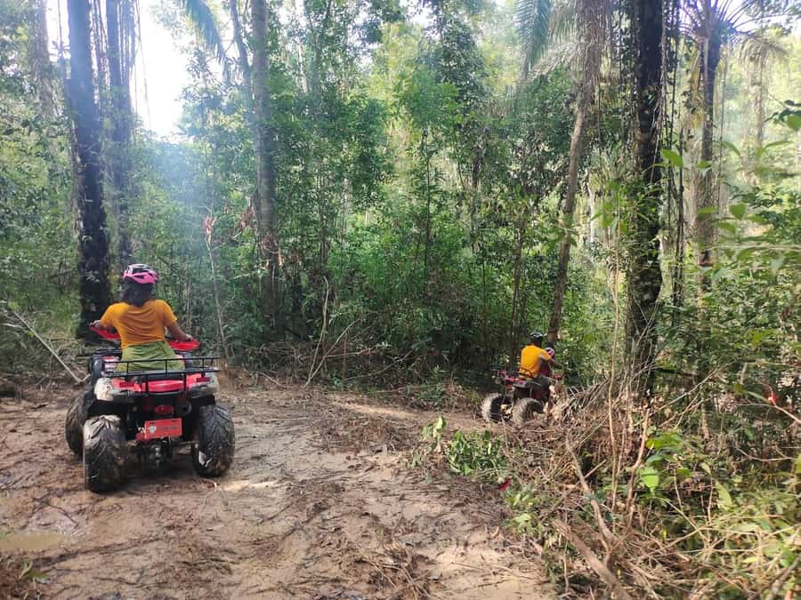 Krabi : Krabi kayak & ATV Jungle adventure (group of 10 max) - Small wildlife and quiet observation