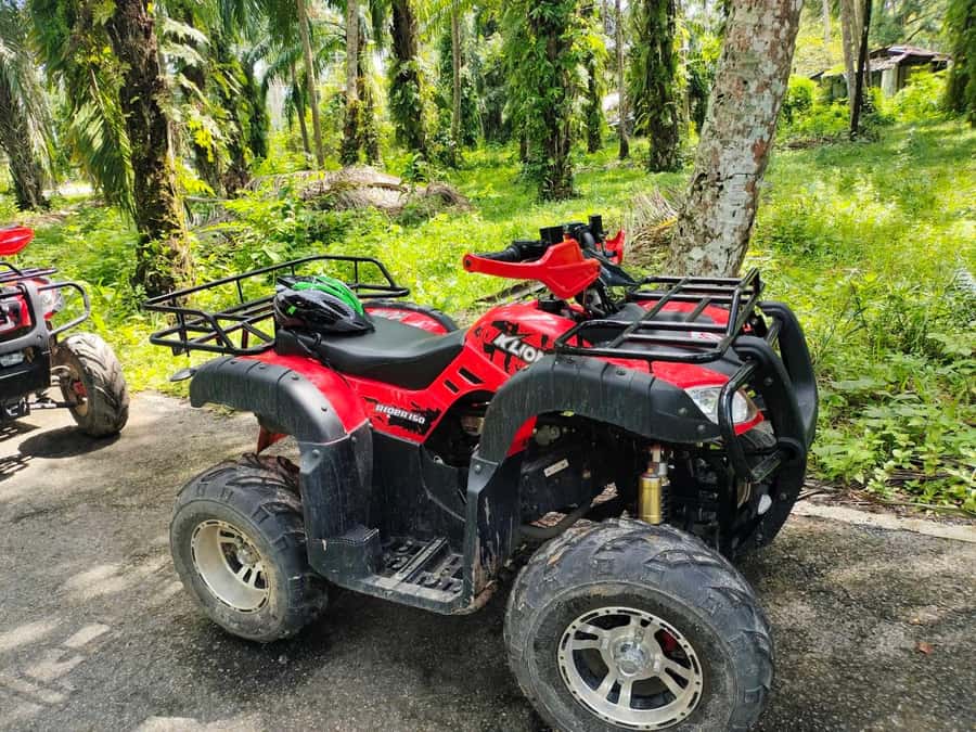 Krabi : Krabi kayak & ATV Jungle adventure (group of 10 max) - Back at the pier, then onto the ATVs