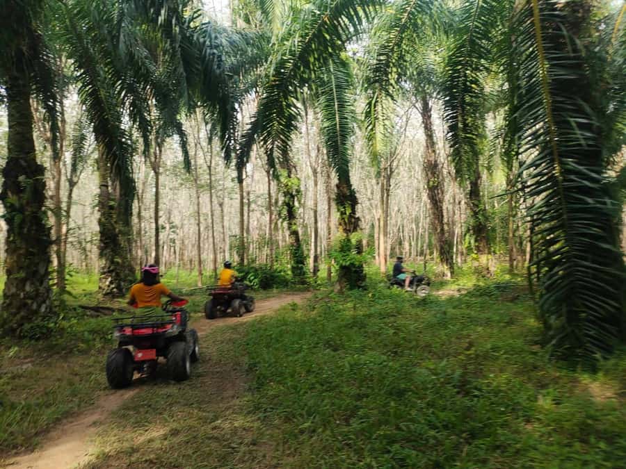 Krabi : Krabi kayak & ATV Jungle adventure (group of 10 max) - Who should book this adventure?