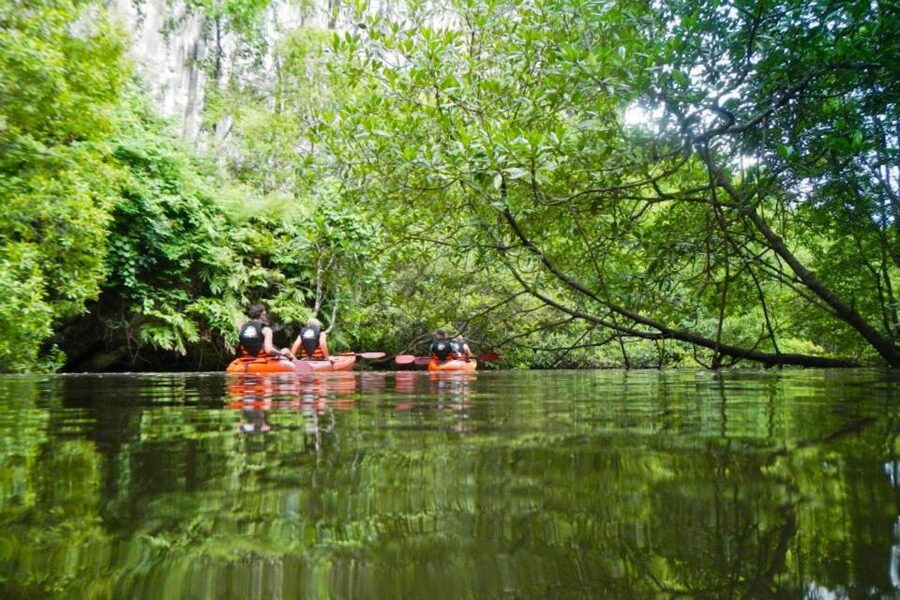 Krabi: Private Sea Kayaking in Ao Thalane and Hong Island - Why Ao Thalane feels different from Krabi’s beach tours
