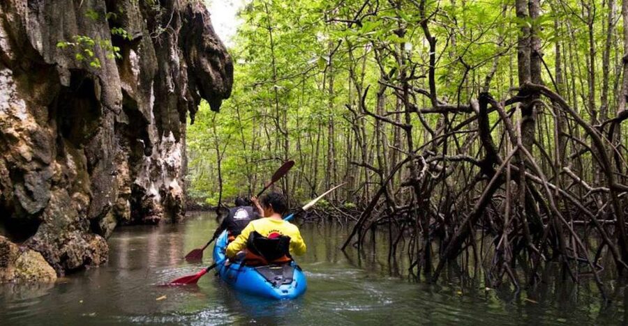 Krabi: Private Sea Kayaking in Ao Thalane and Hong Island - The value of a private or small-group kayak