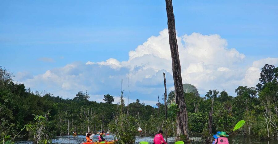Krabi: South Kayak Klong Root Kayaking Tour - Key points to know before booking