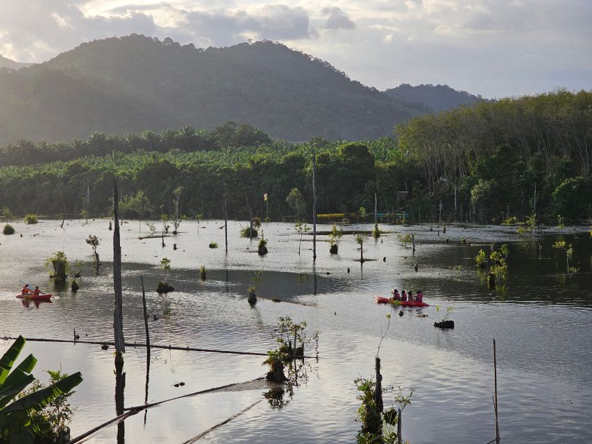 Krabi: South Kayak Klong Root Kayaking Tour - Timing, cancellation, and practical planning