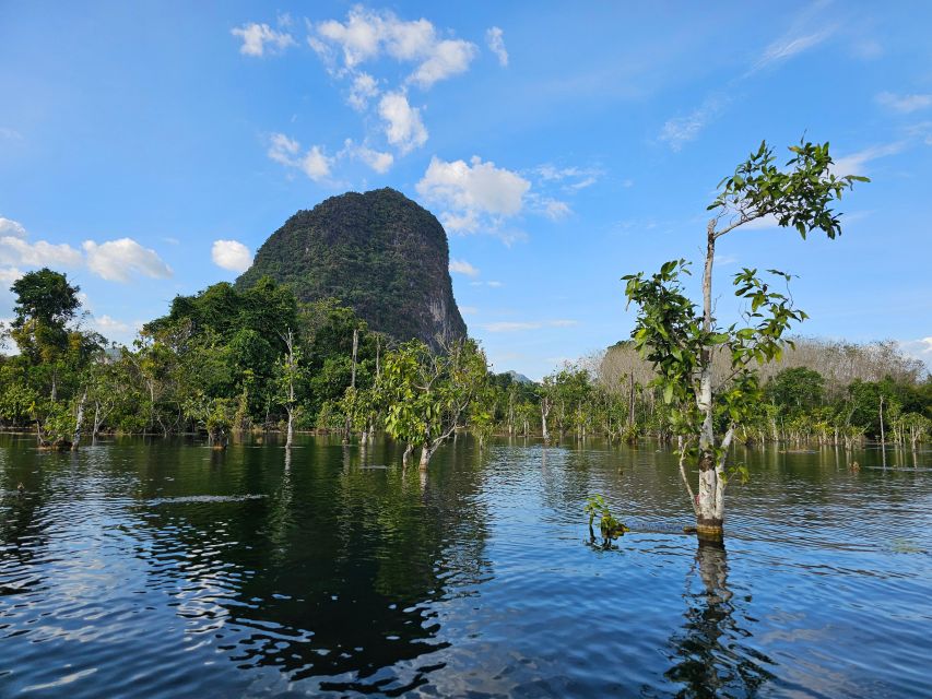 Krabi: South Kayak Klong Root Kayaking Tour - Pickup times that fit an Ao Nang day