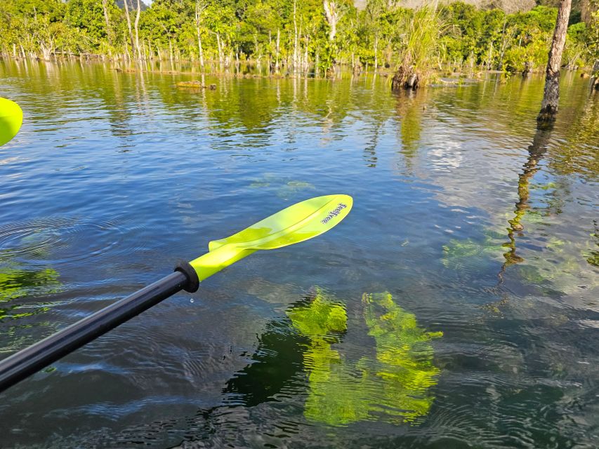 Krabi: South Kayak Klong Root Kayaking Tour - The real cost: $18 plus the entrance fee