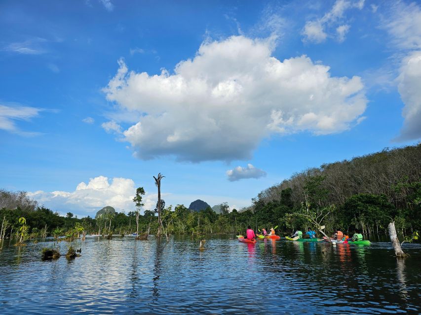 Krabi: South Kayak Klong Root Kayaking Tour - Who should think twice before booking