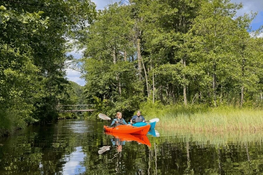 Kristiansand: River Kayaking Adventure - Who should book the Otra River kayak trip?