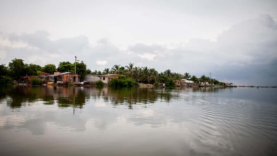 La Boquilla: 3-Hour Canoe Tour through the Mangroves - Booking advice and practical preparation