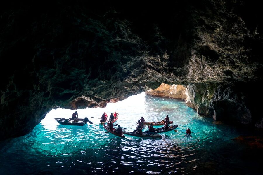 La Herradura: Cerro Gordo Natural Park Kayak & Snorkel Tour - A snorkeling stop with real marine life