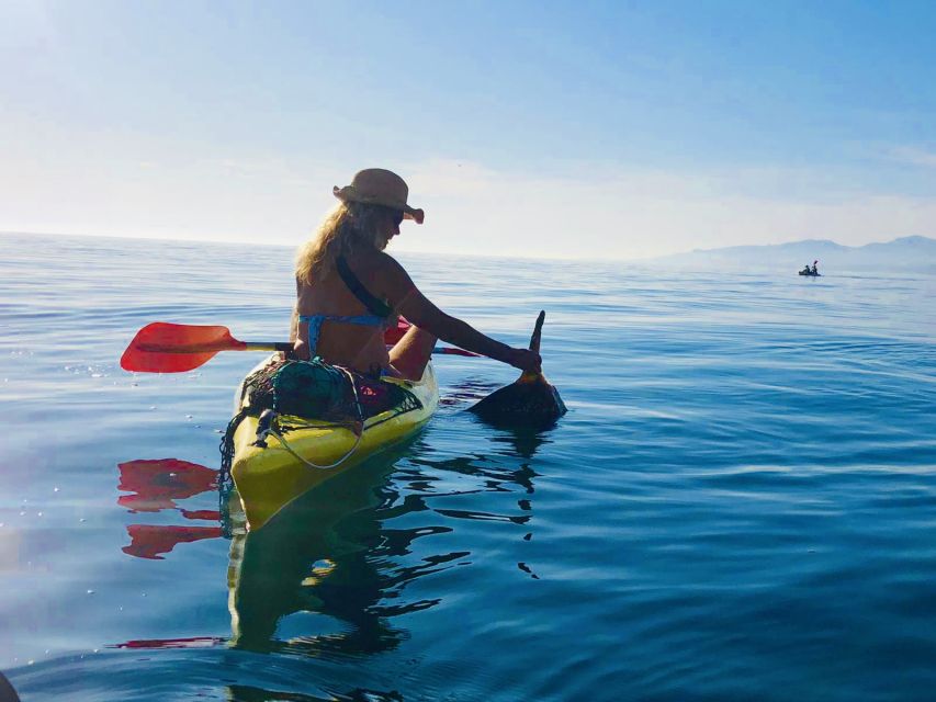 La Herradura: Cerro Gordo Natural Park Kayak & Snorkel Tour - Is $35 a good price?