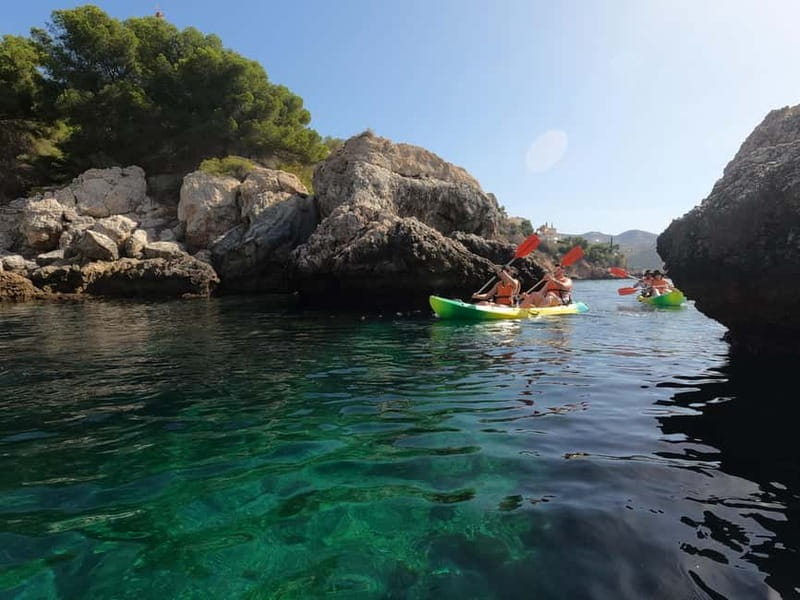 La Herradura: Kayak & Snorkel Tour Maro-Cerro Gordo Reserve - What the guides add to the outing