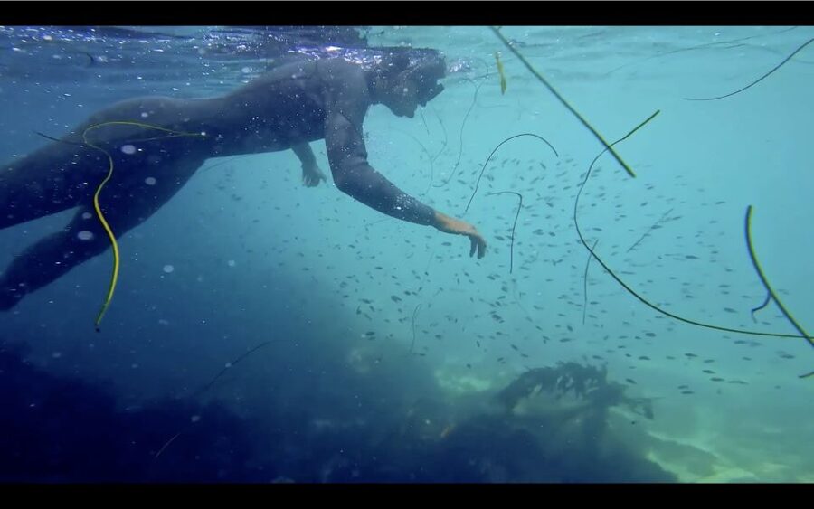 La Jolla: 2.5-Hour Kayak and Snorkel Tour - Snorkeling over reef and sand