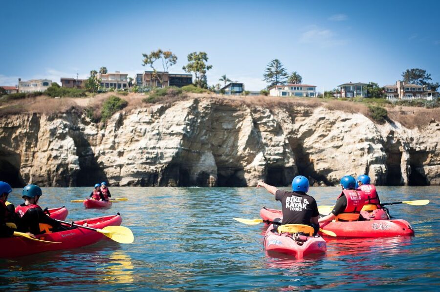La Jolla: 2-Hour Kayak Tour of the 7 Caves - Wildlife: Sea Lions, Sharks, and Fish