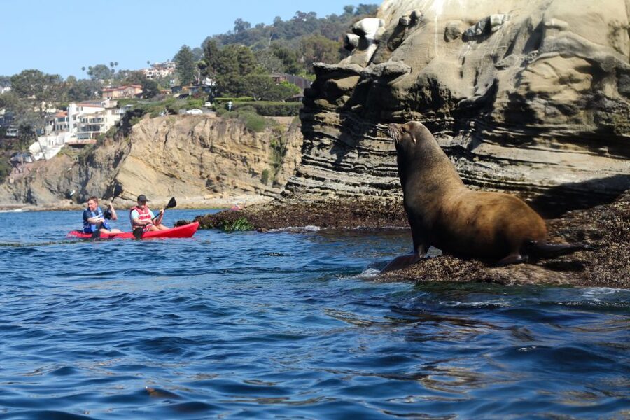 La Jolla: 2-Hour Kayak Tour of the 7 Caves - Should You Book the 7 Caves Kayak Tour?