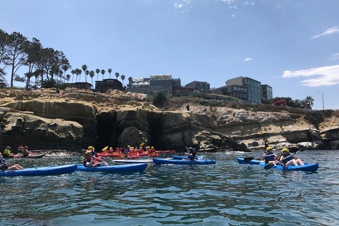 La Jolla Sea Caves Kayak Tour For Two (Tandem Kayak) - Who will enjoy this tour most?