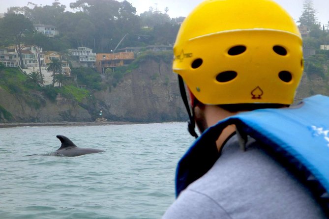 La Jolla Sea Caves Kayak Tour For Two (Tandem Kayak) - The first hour: instruction, launch, and breaking waves