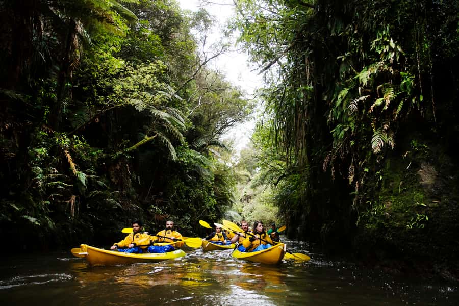 Lake Karapiro: Evening Kayak Glowworm Tour - Key things to know before you paddle