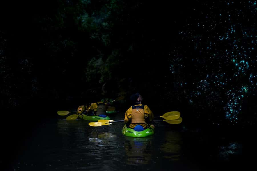 Lake Karapiro: Evening Kayak Glowworm Tour - Paddling into the water-carved canyon