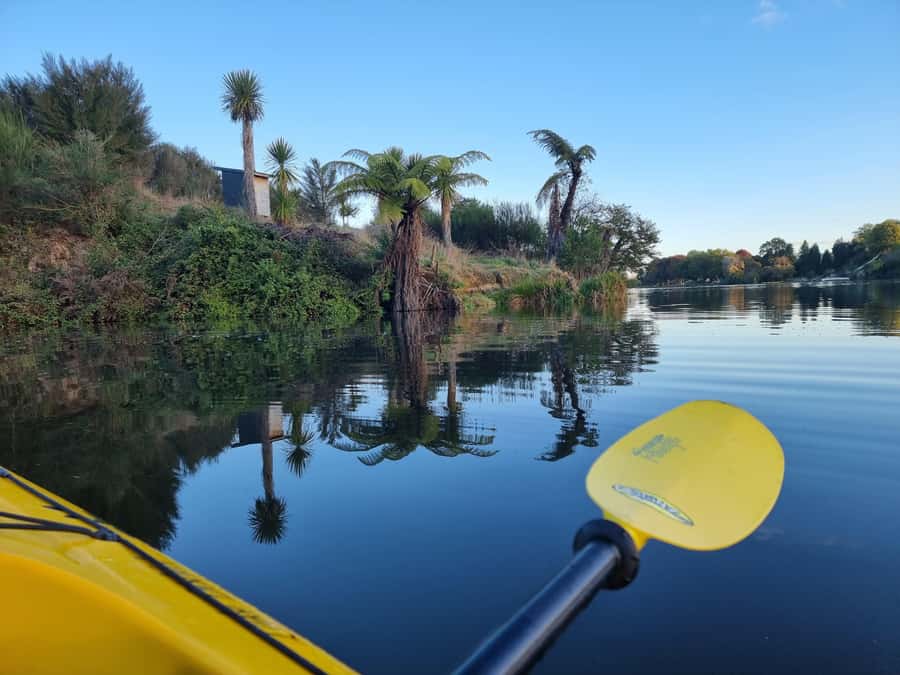 Lake Karapiro: Evening Kayak Glowworm Tour - Is $89 good value for three and a half hours?