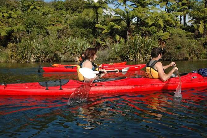 Lake Rotoiti Evening Kayak Tour including Hot Springs, Glowworm Caves and BBQ Dinner - Sunset and the return paddle